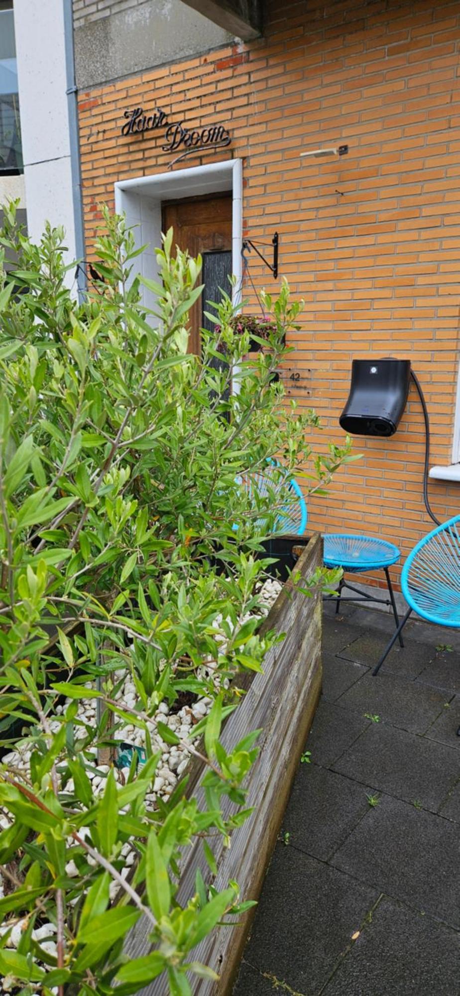 Ferienwohnung @Zakibelle Bredene Exterior foto